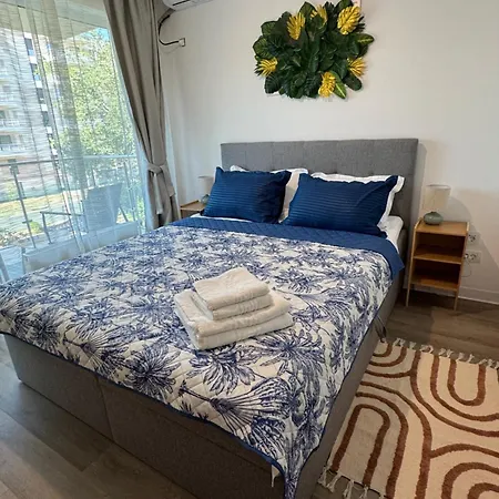 Dari Sol Comfort & Relax 2min From